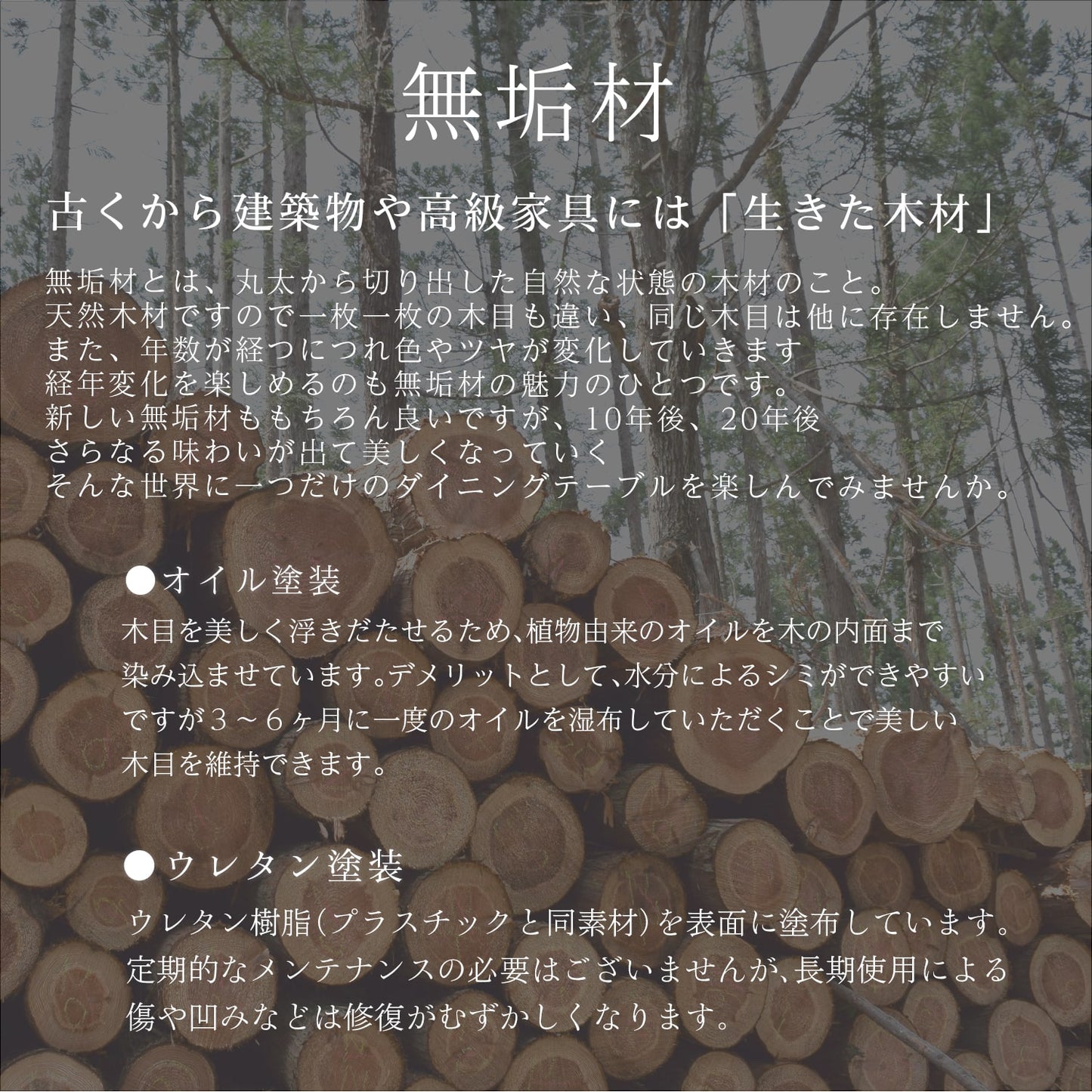 ダイニングベンチ 165cm 3人掛け 単品 ブラック マドラス